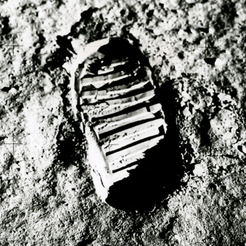 The Moon Landing supporting image